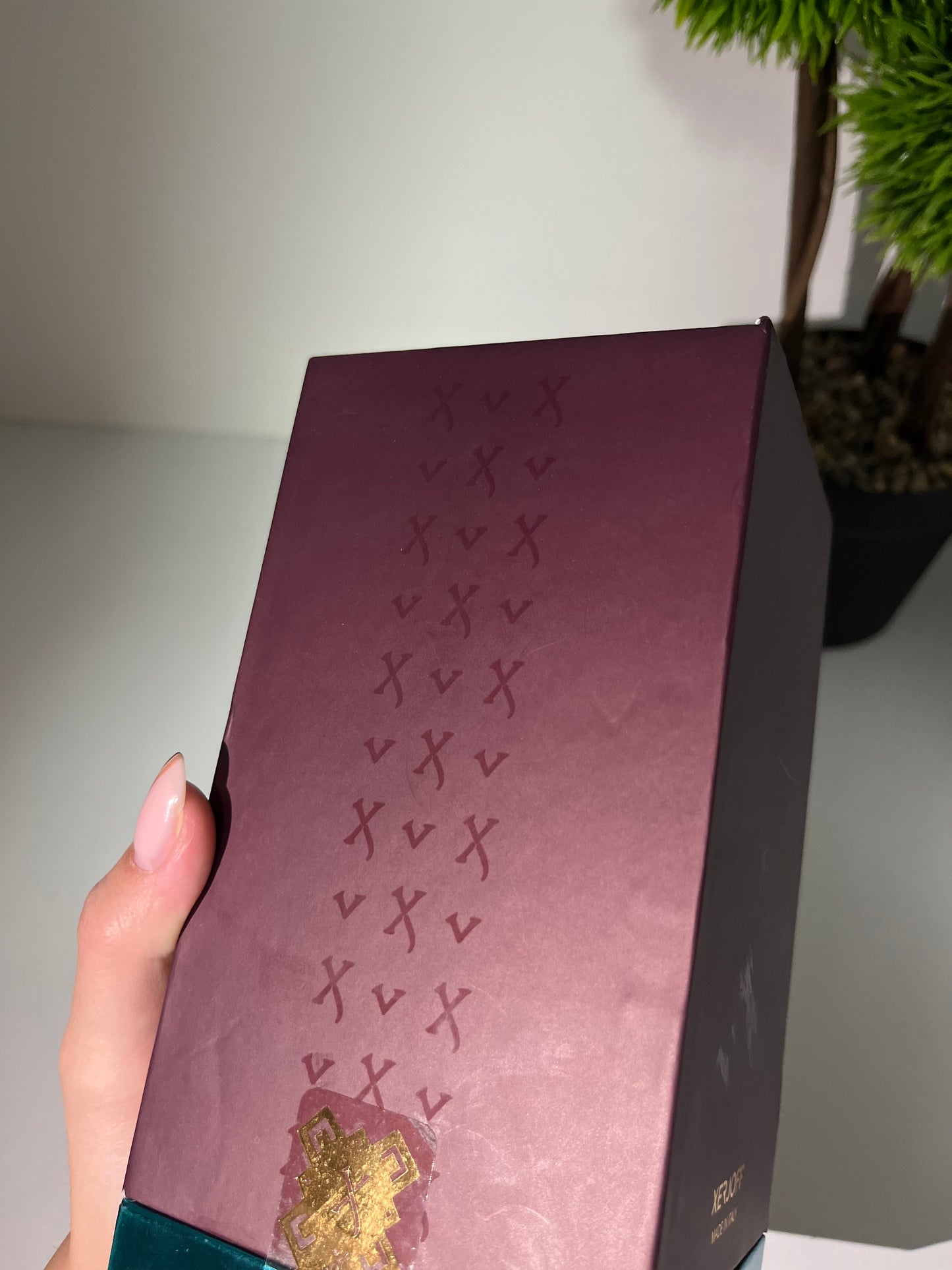 XERJOFF Erba Pura 100ml 1/1