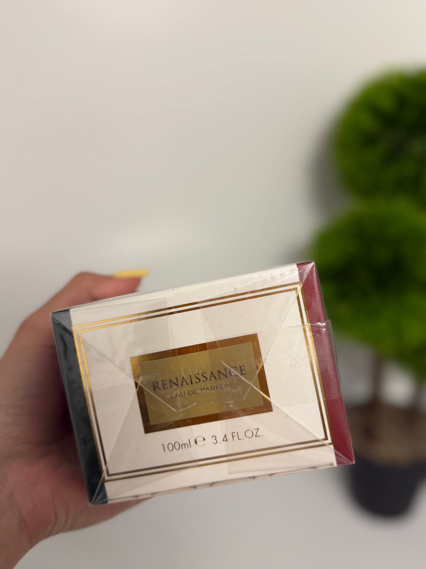 Xerjoff Renaissance 100ml 1/1 Parfem