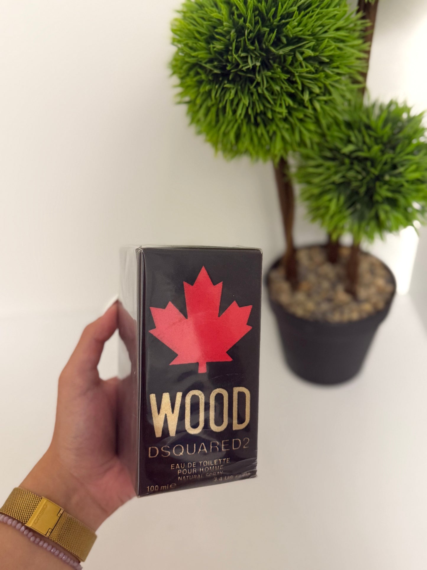 Dsquared2 WOOD 1/1 100ml parfem